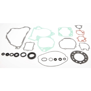 Winderosa Complete Gasket Set with Oil Seals