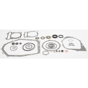 Winderosa Complete Gasket Sets with Oil Seals