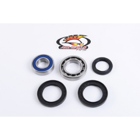 AllBallsRacing Wheel Bearing & Seal Kit