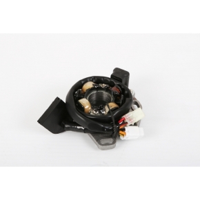 Electrosport Produit Magnétos