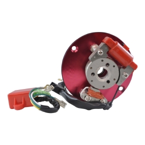 Kimpex Stator and Flywheel Kit